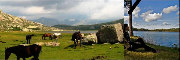Creation of wild horses: Step 1